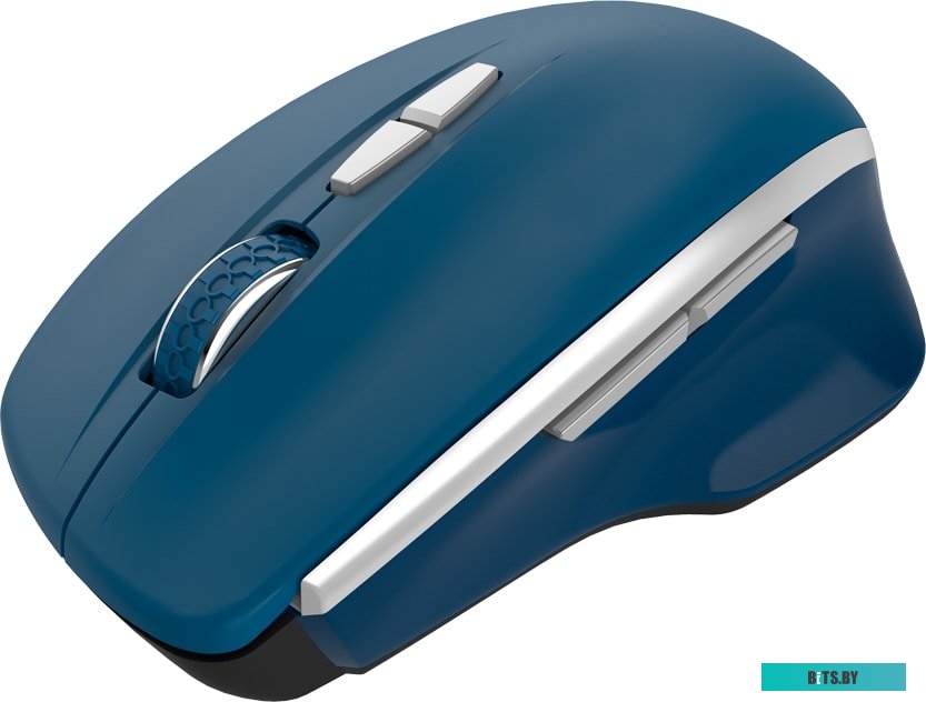 Мышь Canyon MW-21 (сапфир) <CNS-CMSW21BL>
