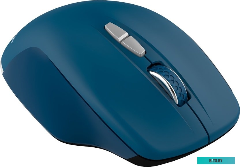 Мышь Canyon MW-21 (сапфир) <CNS-CMSW21BL>