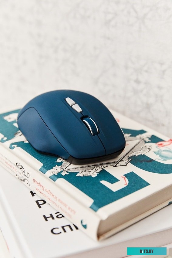 Мышь Canyon MW-21 (сапфир) <CNS-CMSW21BL>