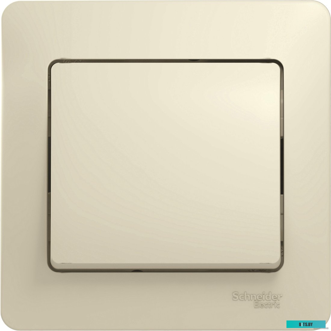Розетка Schneider Electric Glossa GSL000212 (бежевый)