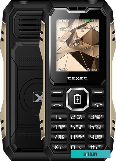 Мобильный телефон TeXet TM-D429 (черный)