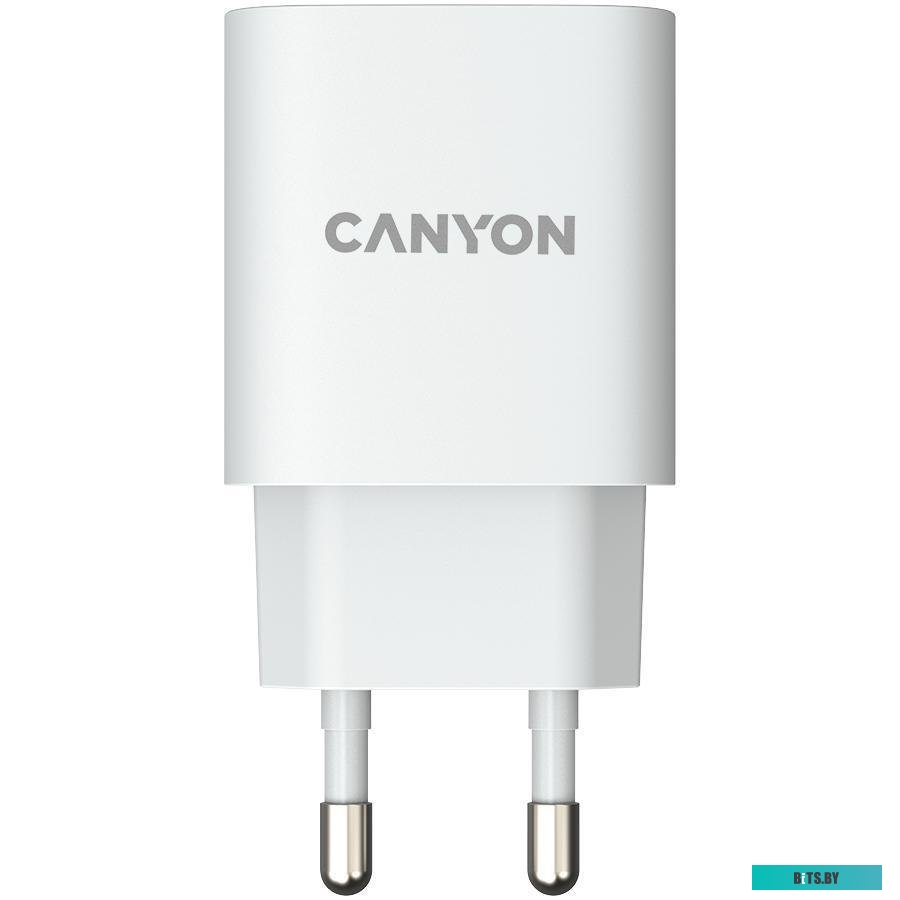Зарядное устройство Canyon H-20