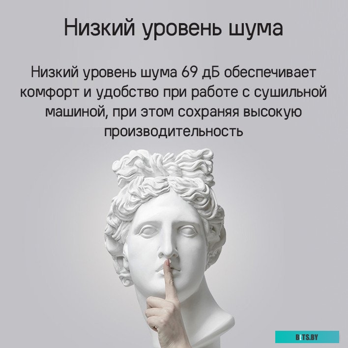 КА-00019000 Сушильная машина MAUNFELD MFDM168WHE белый