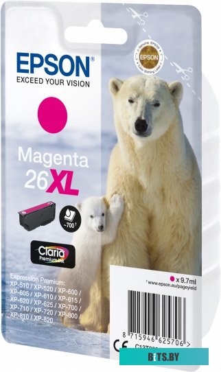 Картридж Epson C13T26334012