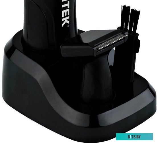 CT-2179 Триммерный набор Centek CT-2179 чёрный