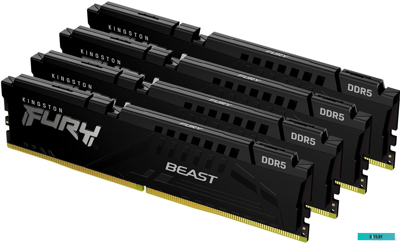 Оперативная память Kingston Fury Beast Black KF552C40BBK4-64
