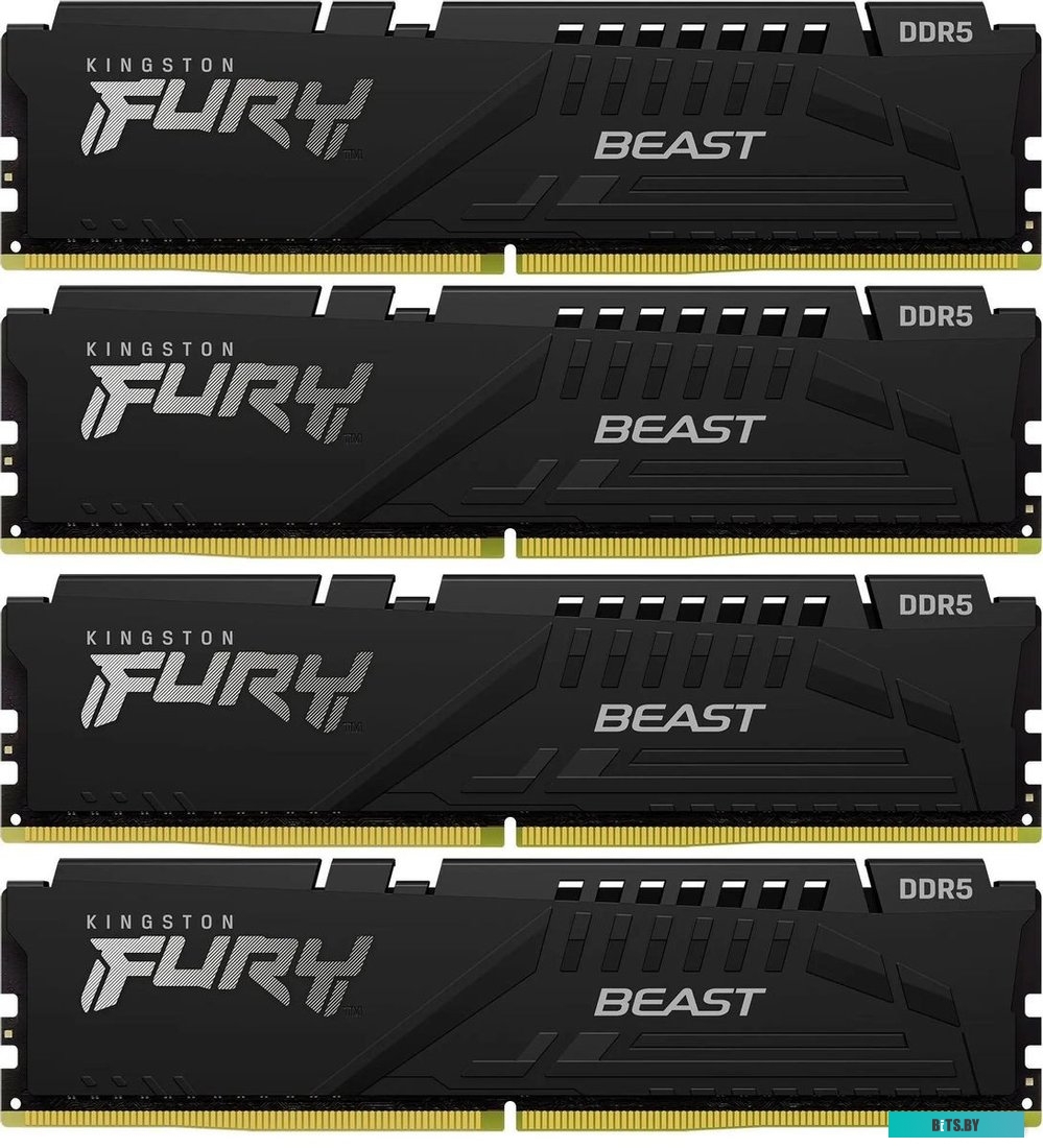 Оперативная память Kingston Fury Beast Black KF552C40BBK4-64