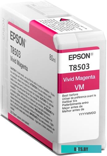Картридж Epson C13T850300