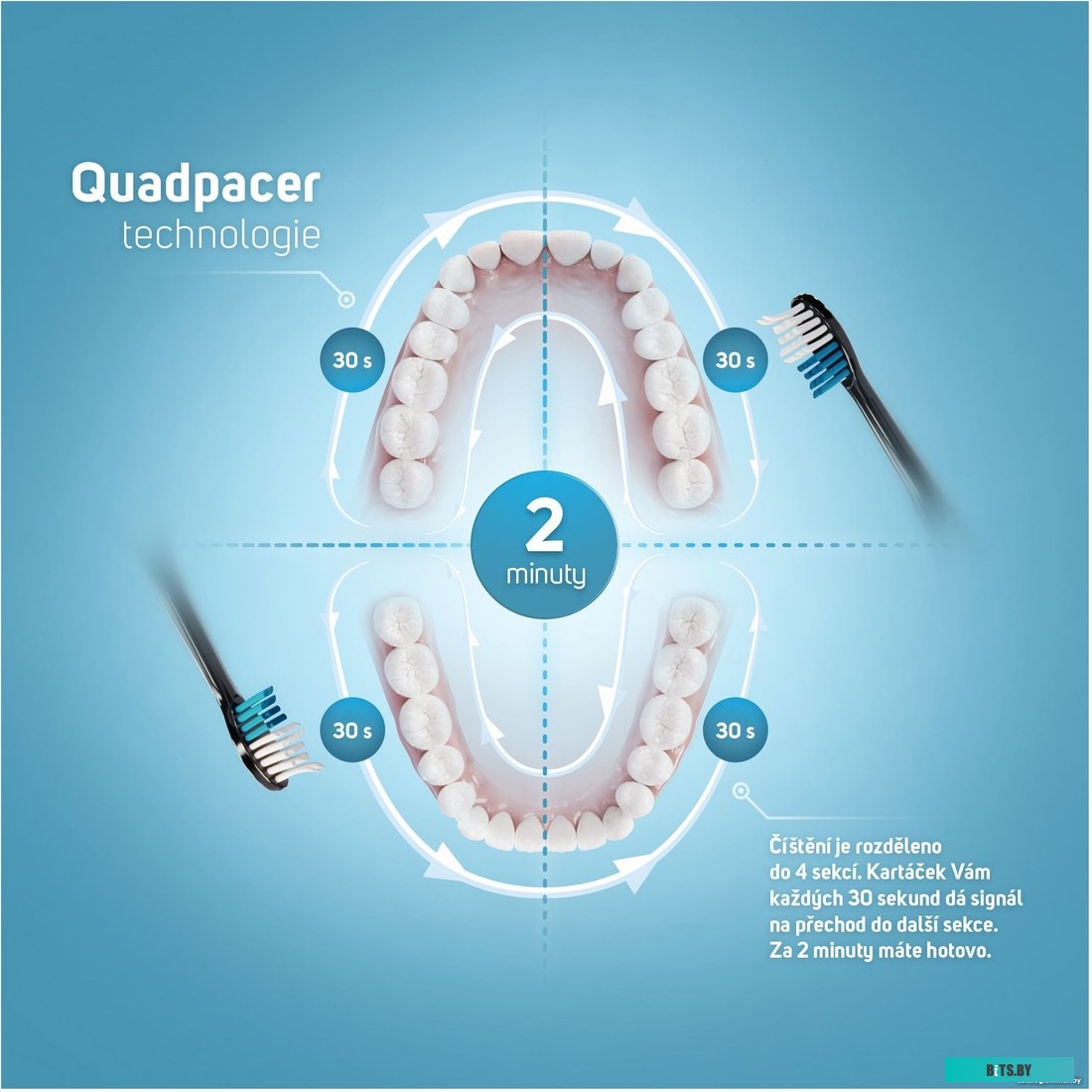 SOC 4010BL Зубная щетка Sencor SOC 4010BL