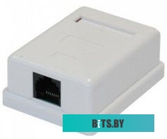 Розетка компьютерная Rexant 1хRJ-45 8р-8с cat.5e 03-0121