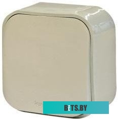 Вывод кабеля Legrand Quteo 782234