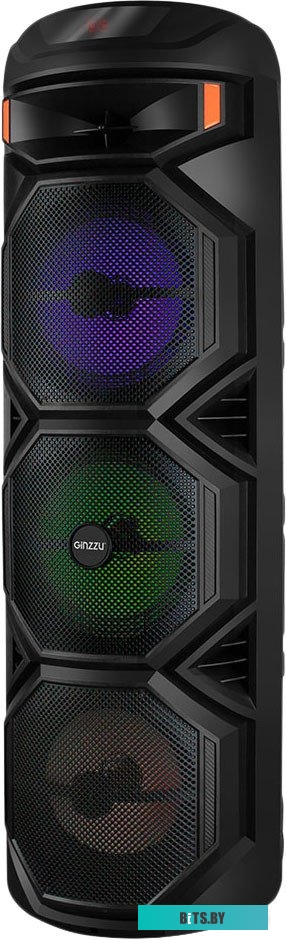 Акустическая система Ginzzu GM-239