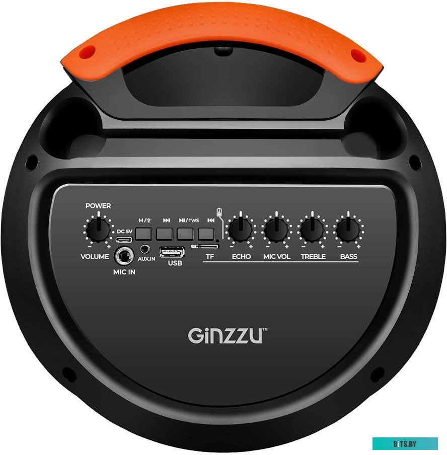 Акустическая система Ginzzu GM-239
