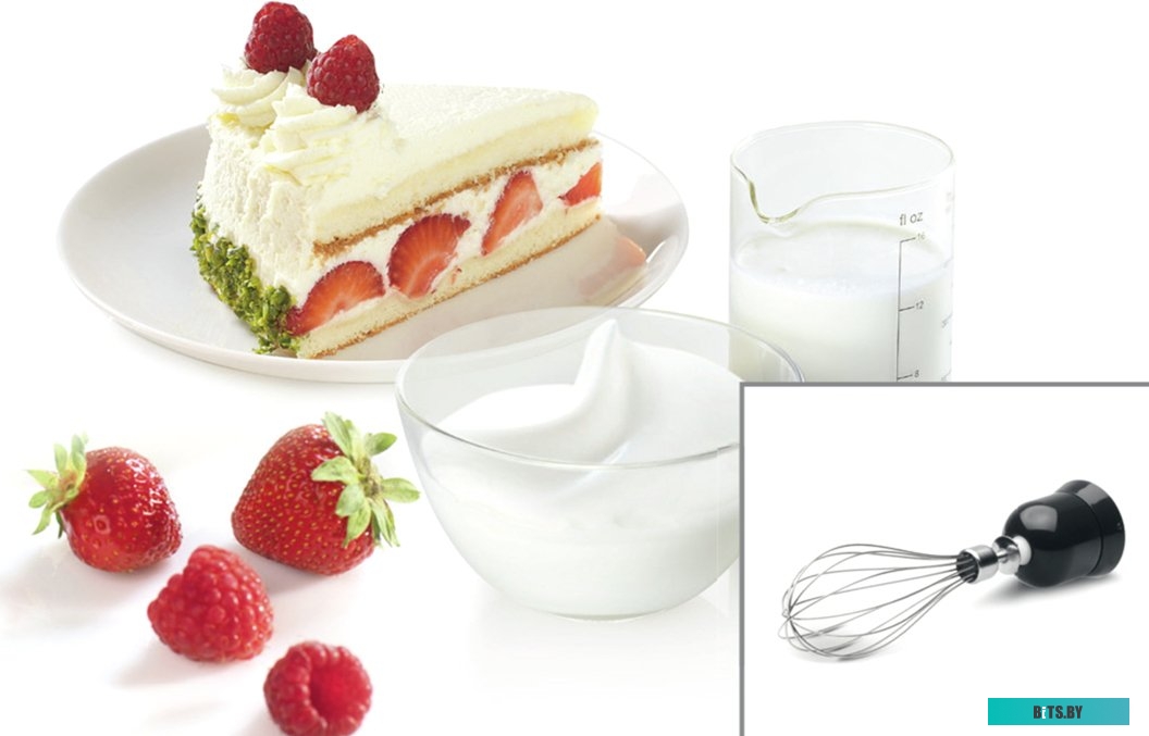 MSM2650B Блендер Bosch MSM2650B