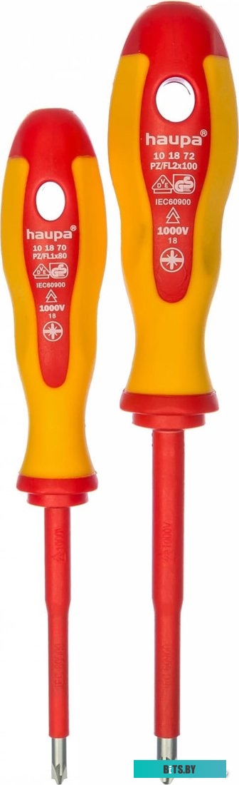 101879 Haupa 101879 (2 предмета)