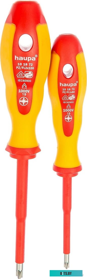 101879 Haupa 101879 (2 предмета)