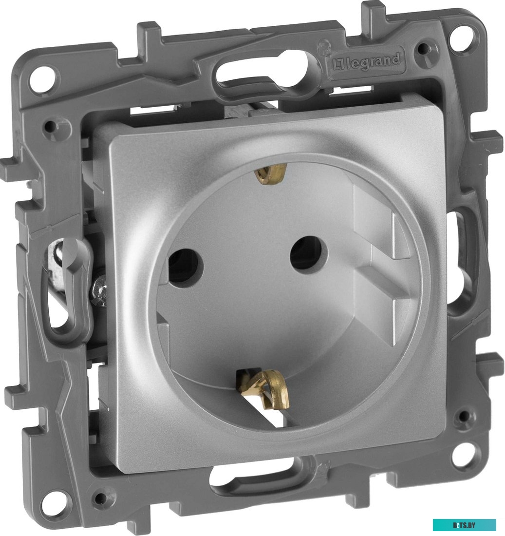 Розетка Legrand Etika 672421 (алюминий)