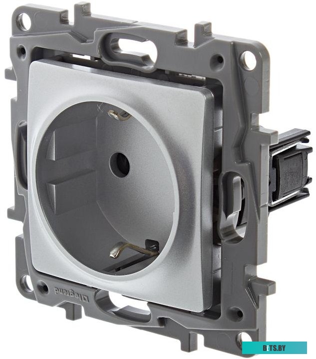 Розетка Legrand Etika 672421 (алюминий)