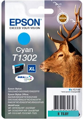 Чернила Epson C13T13024012