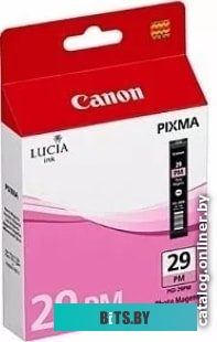 Картридж Canon PGI-29PM 4877B001