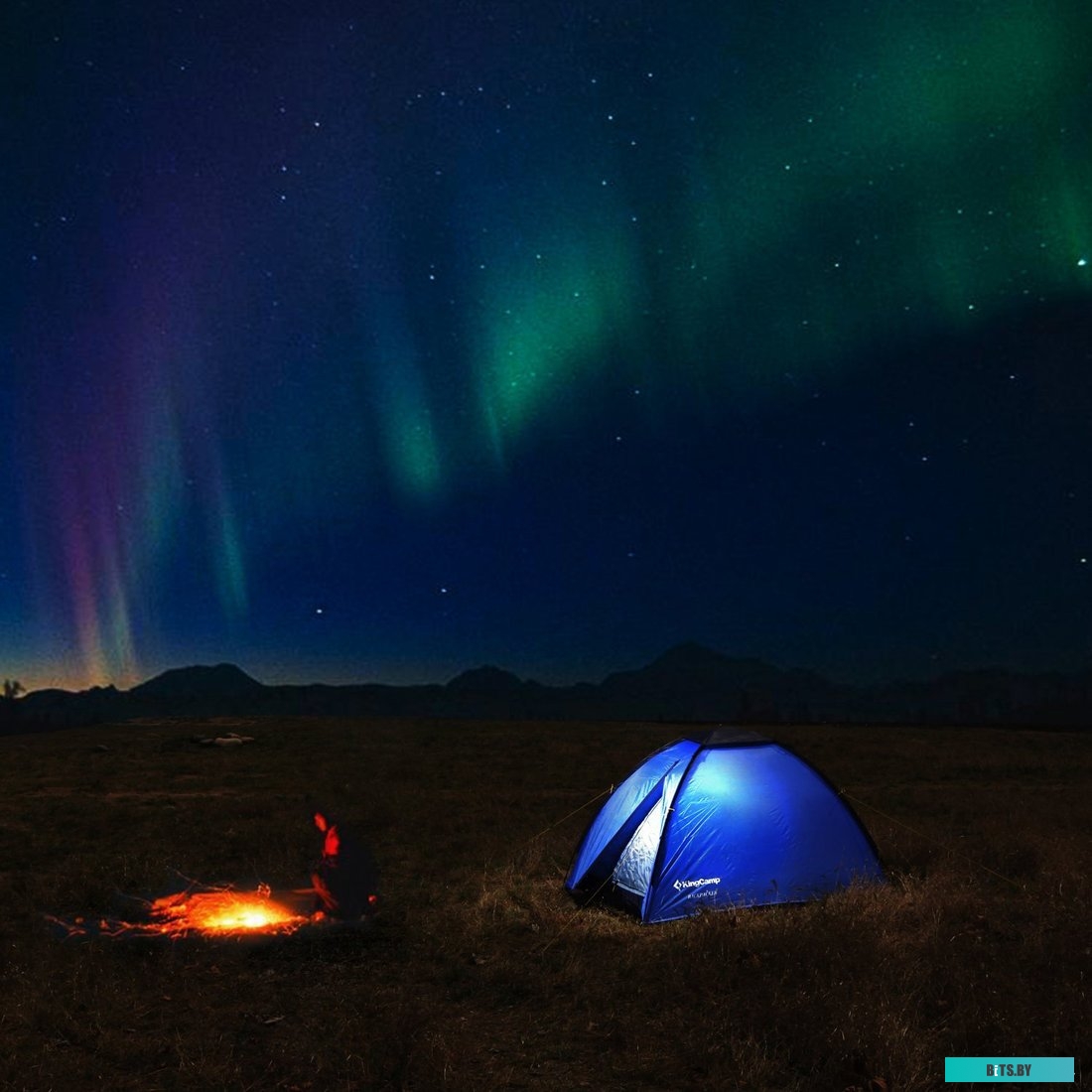 KT-3019 Блендер "Kitfort" [KT-3019]