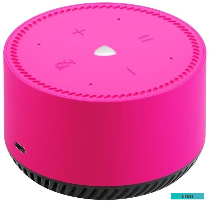 YNDX-00025N_MM Устройство Умного Дома SPEAKER LITE PINK YNDX-00025N YANDEX