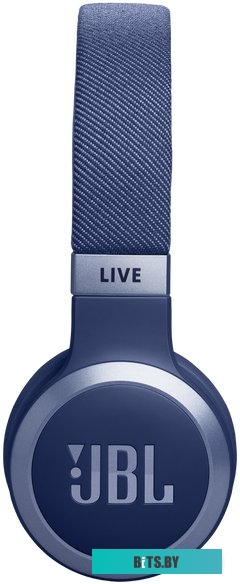 JBLLIVE670NCBLU JBL Live 670NC (синий)