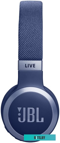 JBLLIVE670NCBLU JBL Live 670NC (синий)