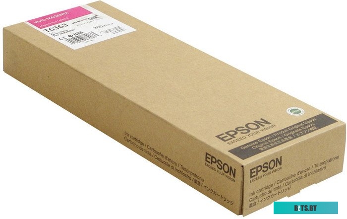 Картридж Epson C13T636300