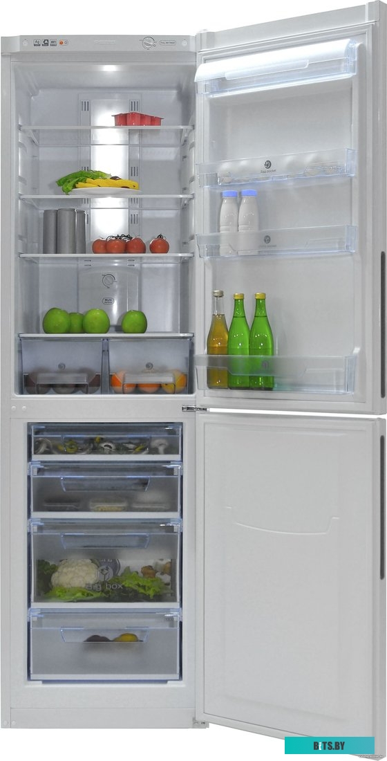 576TV Холодильник RK FNF-172 BEIGE POZIS