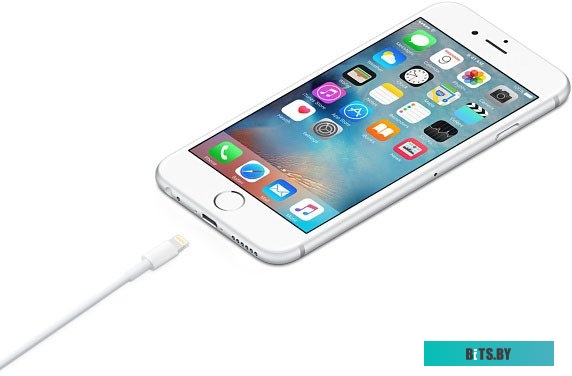 MD818FE/A Кабель Apple Кабель Apple Lightning(m) - USB 2.0 typeA(m), length 1 m, white A1480 MD818FE/A