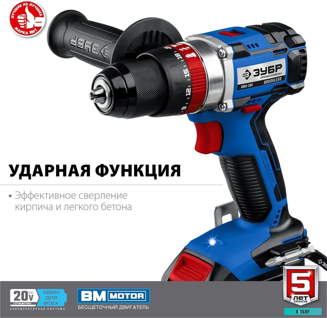 Зубр Профессионал DBS-201-22 (с 2-мя АКБ, кейс)
