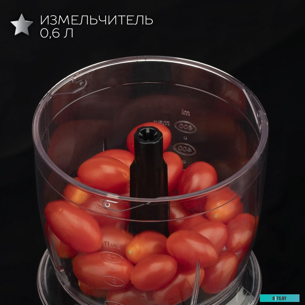 SC-HB42F73 Блендер погружной Scarlett Silver Line SC-HB42F73 1000Вт черный