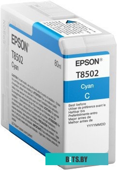 Картридж Epson C13T850200