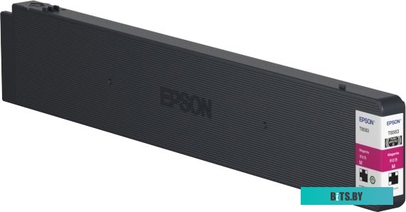 Чернила Epson C13T858300
