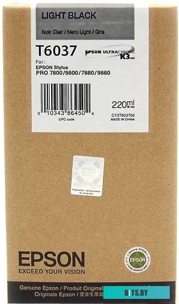 Картридж Epson C13T603700