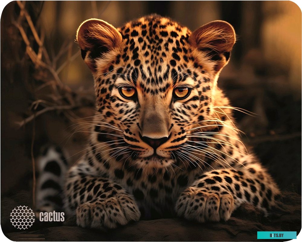 Коврик для мыши Cactus Leopard CS-MP-D06S