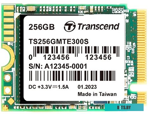 Твердотельный накопитель Transcend 300S 256GB TS256GMTE300S