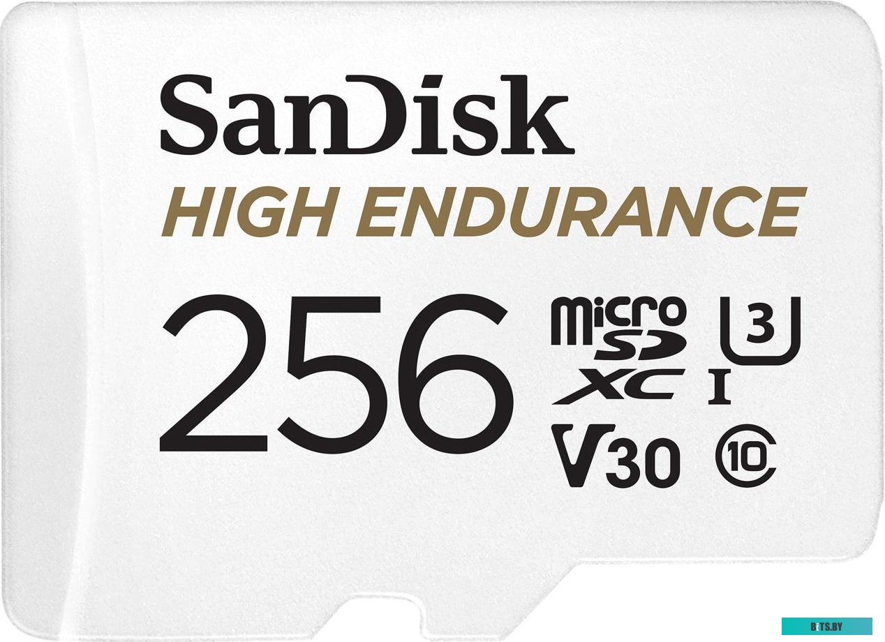 Карта памяти SanDisk High Endurance microSDXC SDSQQNR-256G-GN6IA 256GB