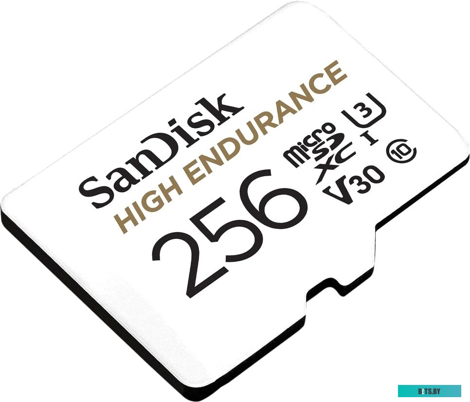 Карта памяти SanDisk High Endurance microSDXC SDSQQNR-256G-GN6IA 256GB