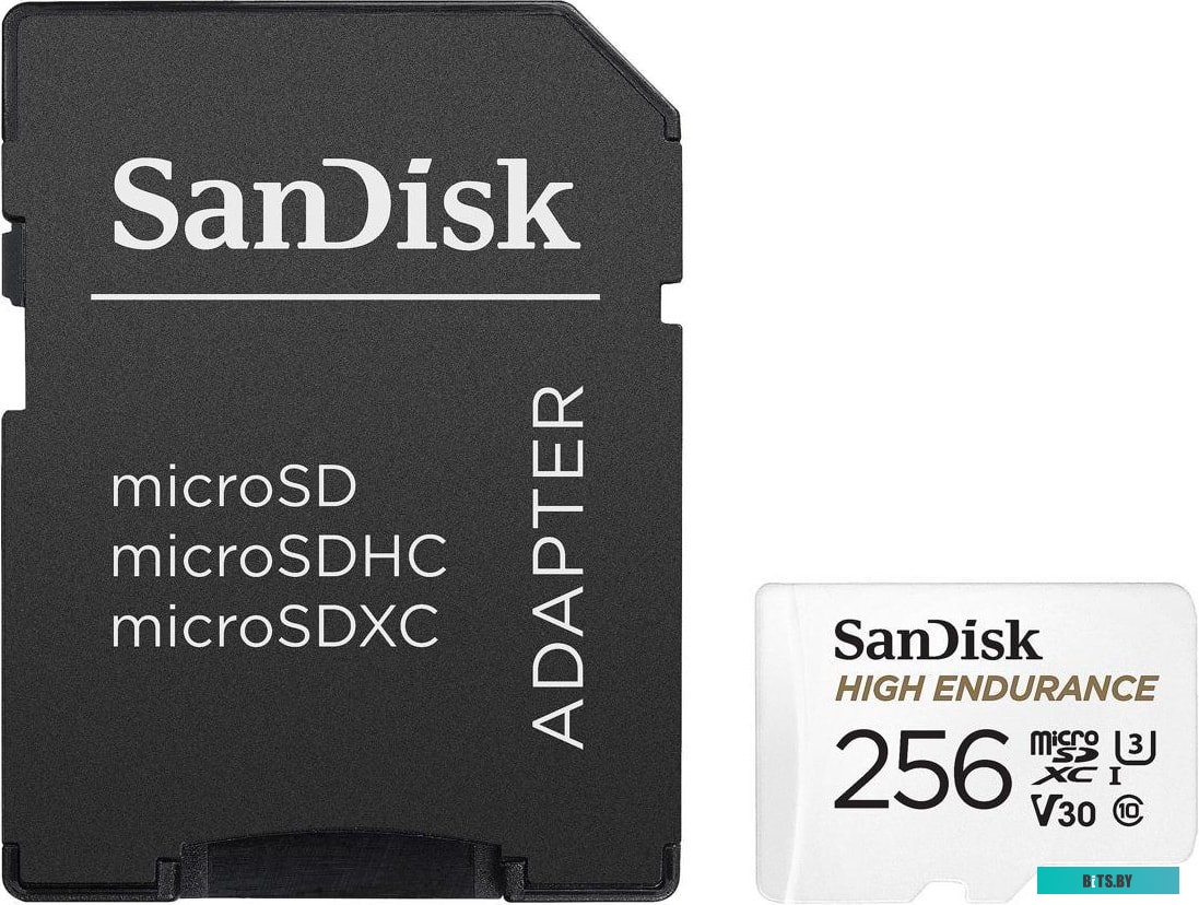 Карта памяти SanDisk High Endurance microSDXC SDSQQNR-256G-GN6IA 256GB