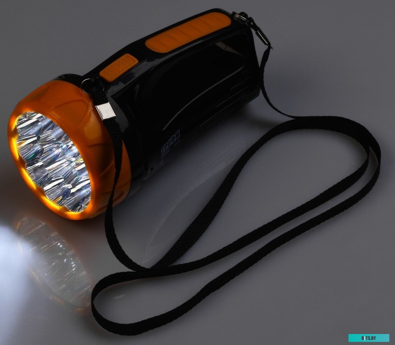 Б0016537 Фонарь-прожектор ТРОФИ TSP10 [б0016537]