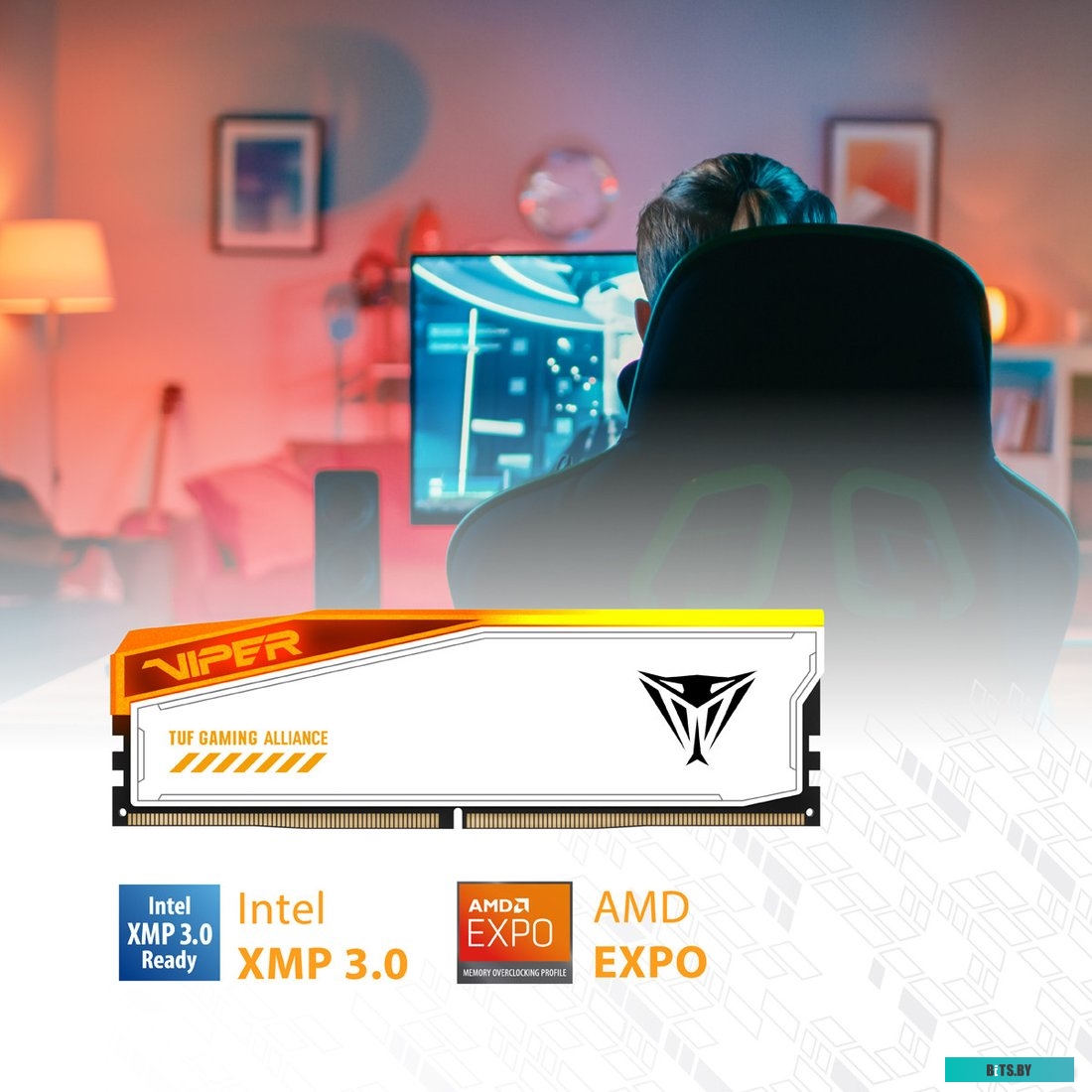 Память Patriot Viper Elite 5 Tuf Gaming RGB RTL Gaming PC5-52800 PVER548G66C34KT