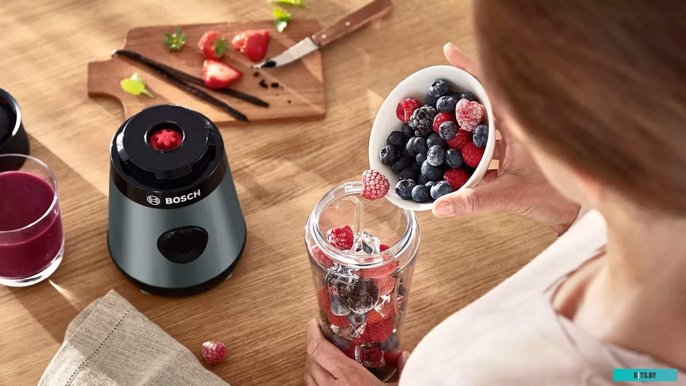 MMB2111S Блендер Bosch MMB2111S