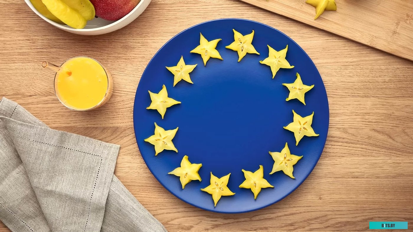 MMB2111S Блендер Bosch MMB2111S