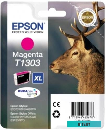 Картридж Epson C13T13034012
