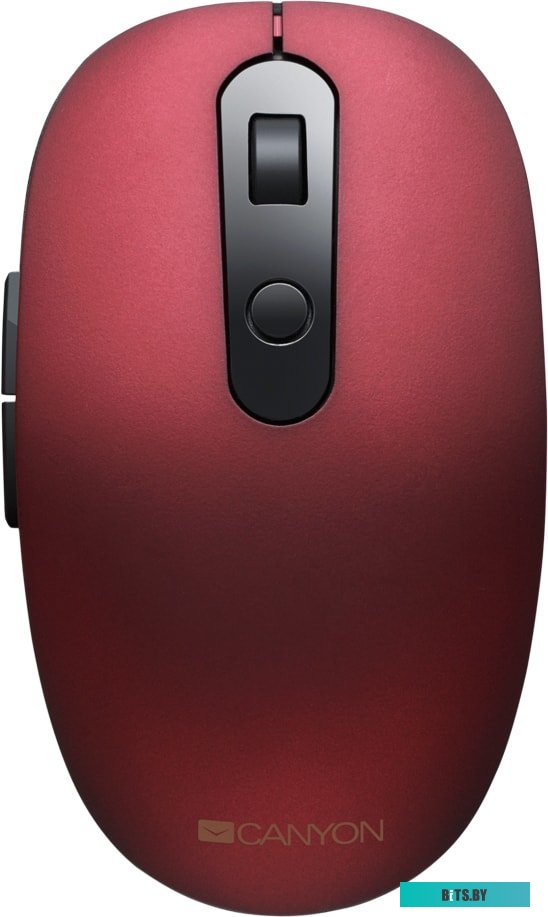 Мышь Canyon CNS-CMSW09R