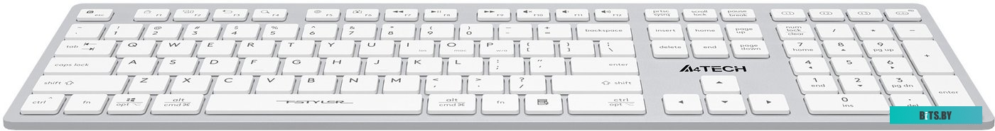 Клавиатура A4Tech Fstyler FBX50C (белый)
