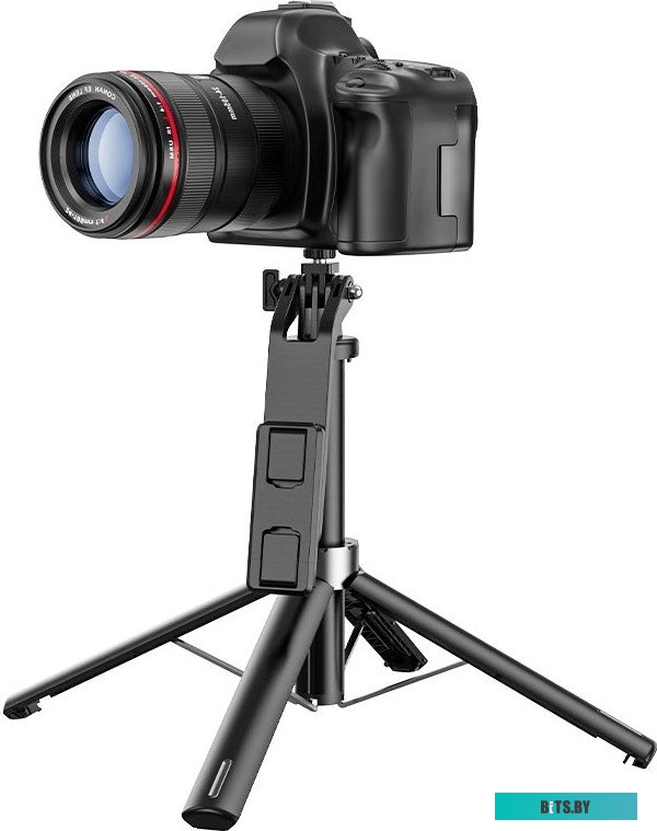Мобильный телефон Maxvi K21 (черный)