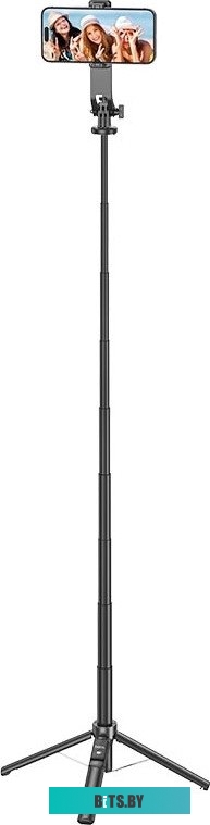 Мобильный телефон Maxvi K21 (черный)